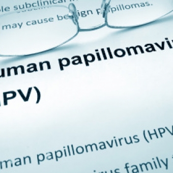 What is HPV? How is it transmitted?