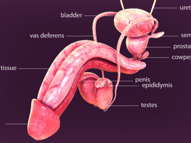 What is hard flaccid syndrome?