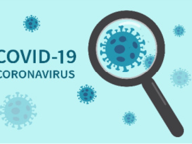 What role might androgens play in COVID-19?
