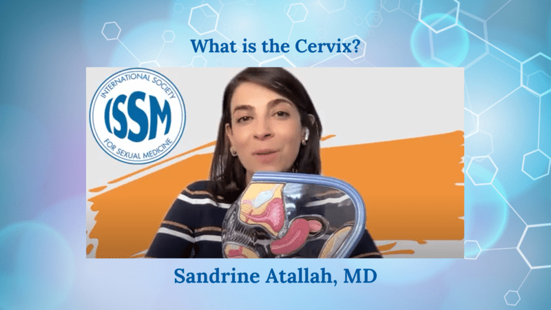 What Is the Cervix?