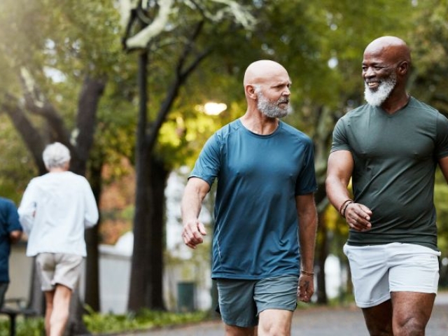 Men walking in a park with gray beards