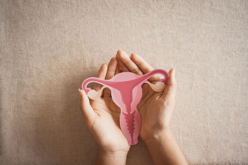 Woman's hands cupping a printed out image of female reproductive organ graphic
