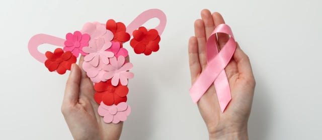 hands holding breast cancer ribbon and felt uterus