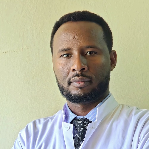 Alemu Bedado Hirpo